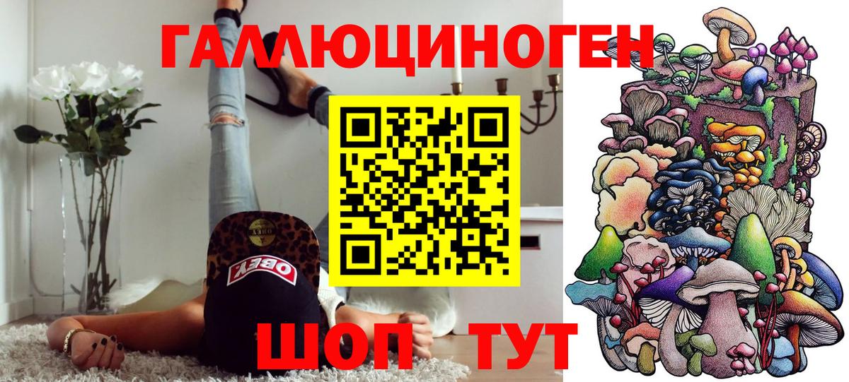 Фурманов  где продают   Вход с VPN  Галлюциногенные грибы Cubensis 